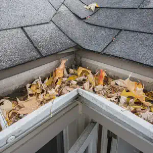 Image gutter_clean