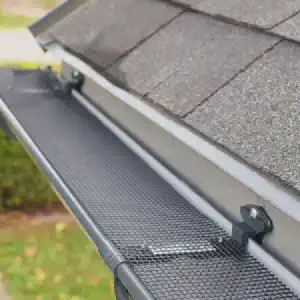 Image gutter_cover_maintenance