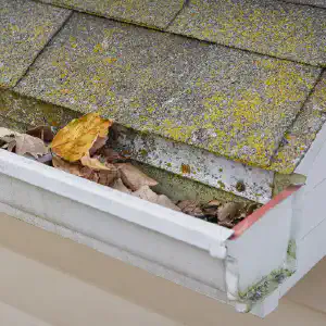 Image gutter_mold