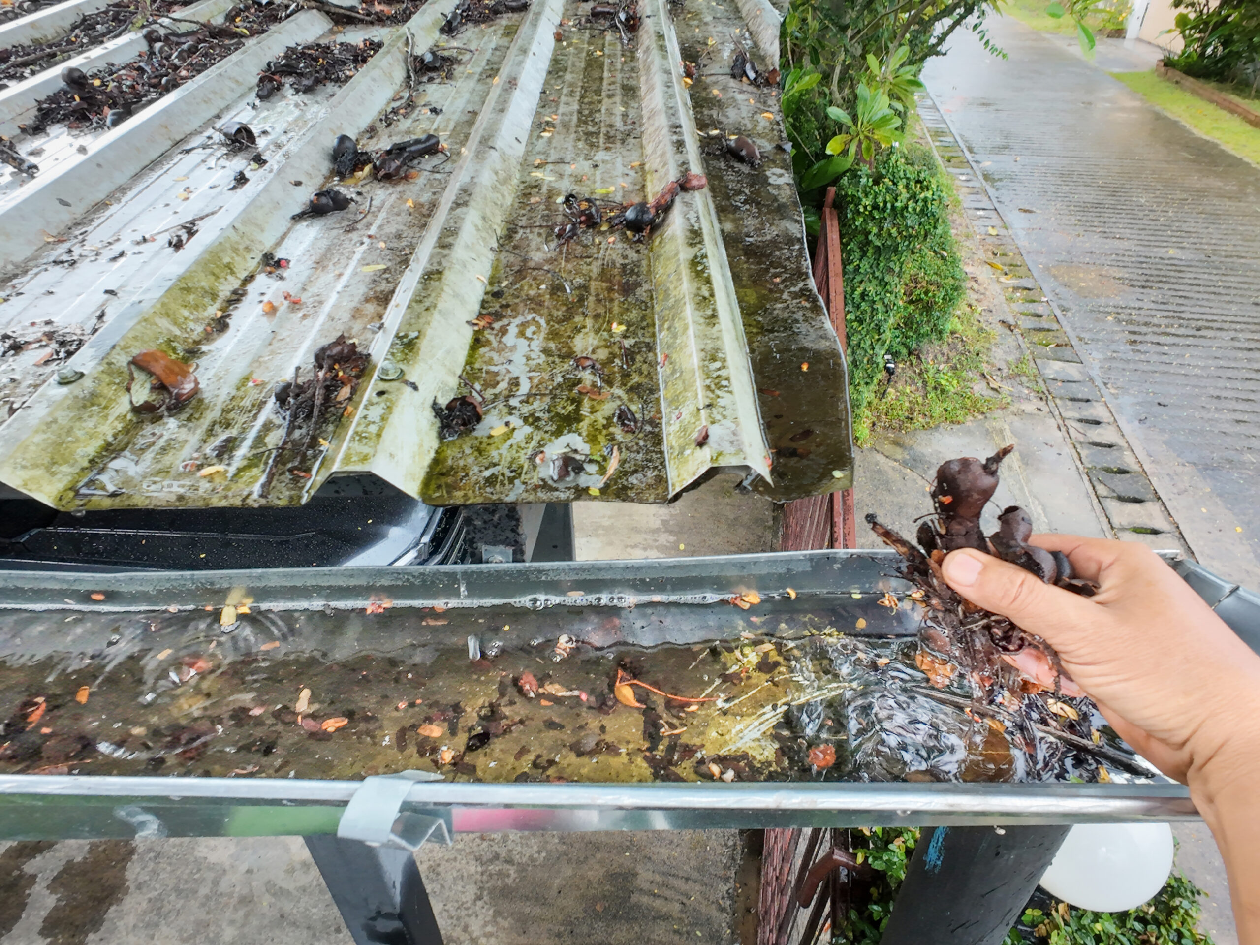 Prevent Costly Water Damage with Professional Gutter Maintenance