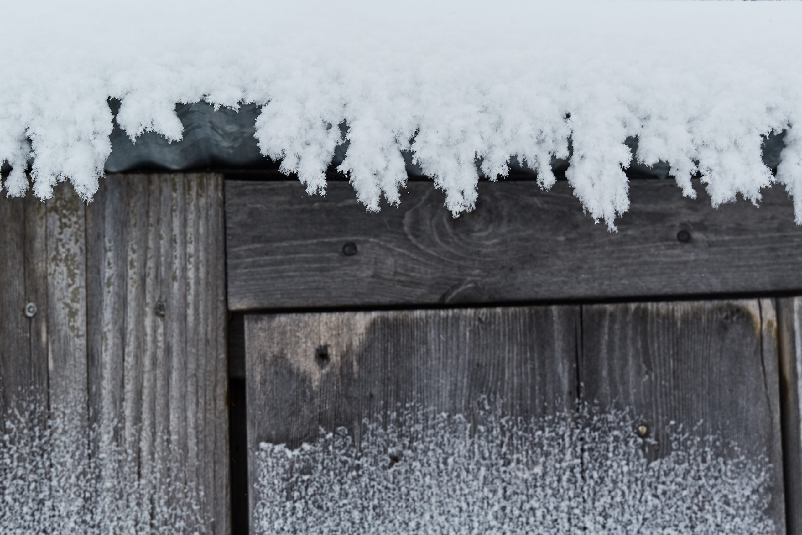 Choosing the Right Siding for Nebraska Weather: Vinyl vs. Fiber Cement vs. Engineered Wood vs. Steel