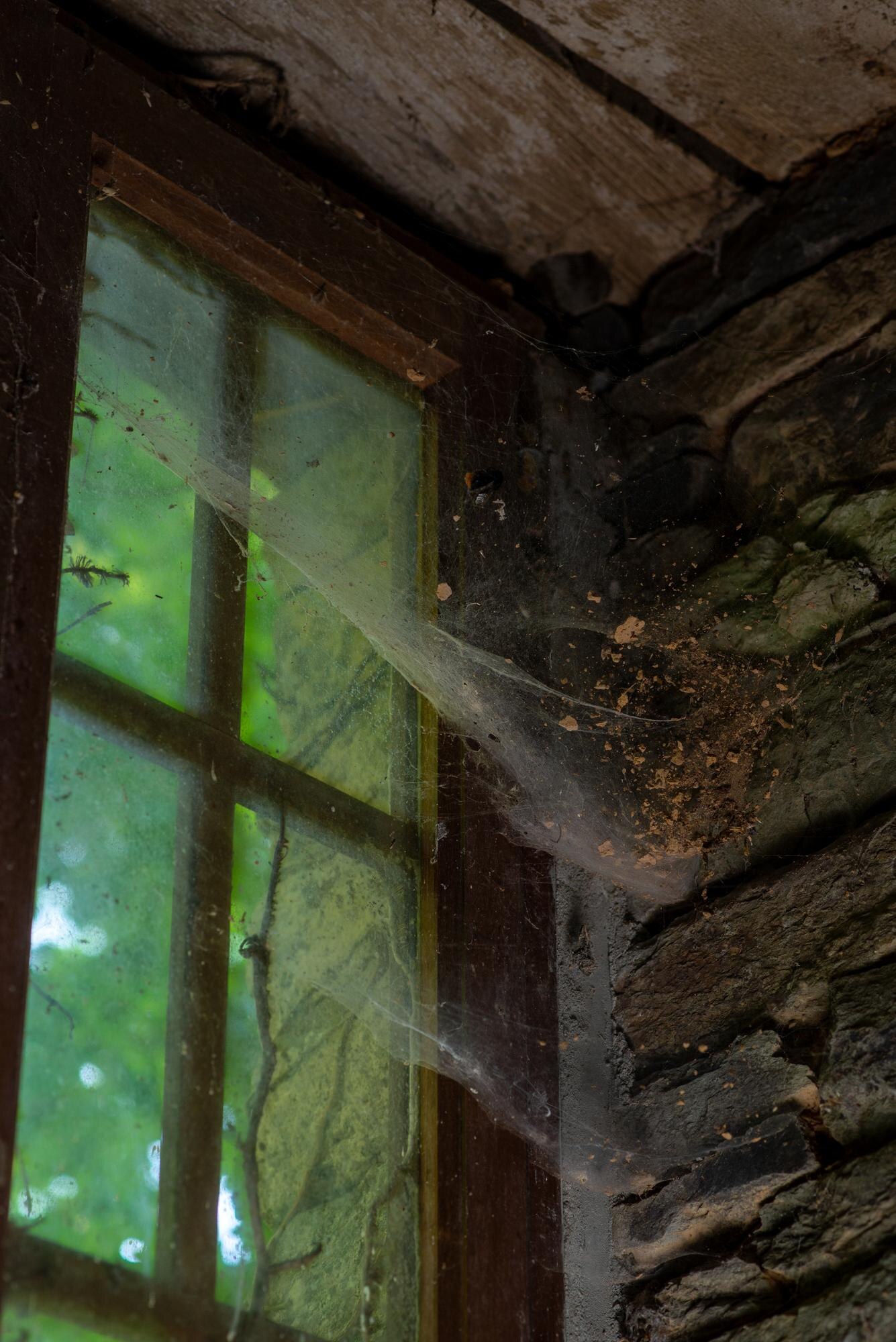 Omaha Roof Replacement Guide: What Homeowners Need to Know